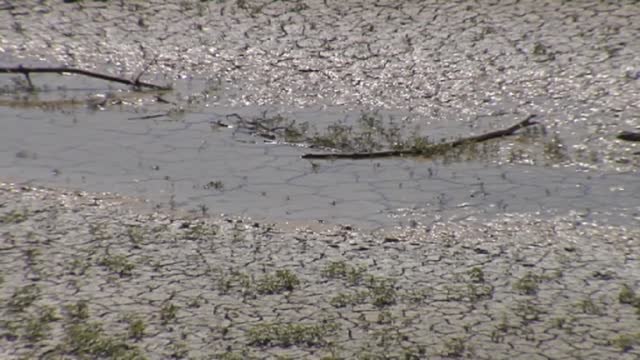 Tercer año hidrológico más seco desde que hay registros y con una grave situación en los embalses
