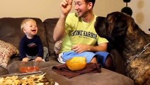 funniest babies laughing hysterically at dogs compilation 1