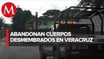 Fueron hallados los cuerpos desmembrados de 3 personas en Veracruz