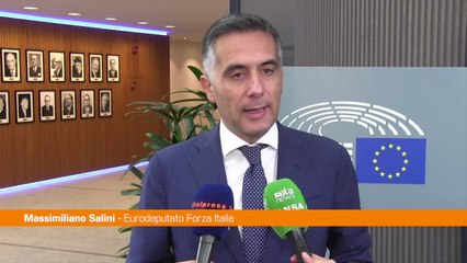 Pnrr, Salini "I fondamentali non cambieranno"