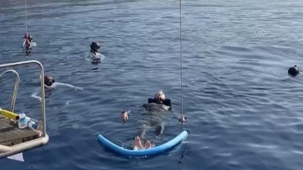 Serbest Dalış Dünya Kupası, sona erdi