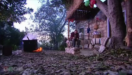 مسلسل ضيعة ضايعة - الجزء الثاني ـ الحلقة 29 التاسعة والعشرون كاملة  ـ زمور الخطر