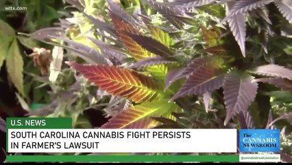 South Carolina Cannabis Fight Persists in Farmer's Lawsuit