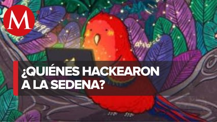 ¿Quiénes son los 'Guacamaya'? Presuntos autores de ciberataque