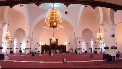 td7-campemento-sele-medio-oriente-300922