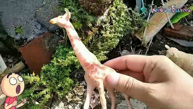 Mencari Mainan Sapi, kuda, kambing, domba, jerapah, keledai, unta, bison, singa, panda, beruang