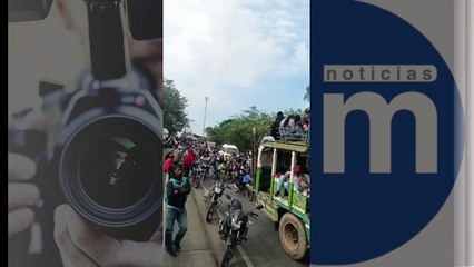 MARIHUANA CAUCA Y VALLE