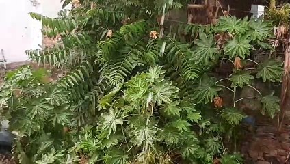 the rain soaked again