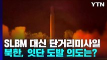 SLBM 대신 단거리미사일...북한, 잇단 도발 의도는? / YTN