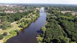 Oder river: Mass fish die-off in Germany-Poland river is blamed on toxic golden algae