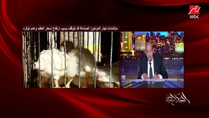 عمرو اديب: الرئيس السيسي قال كل مشاكل المستثمرين والقطاعات ستحل خلال شهرين