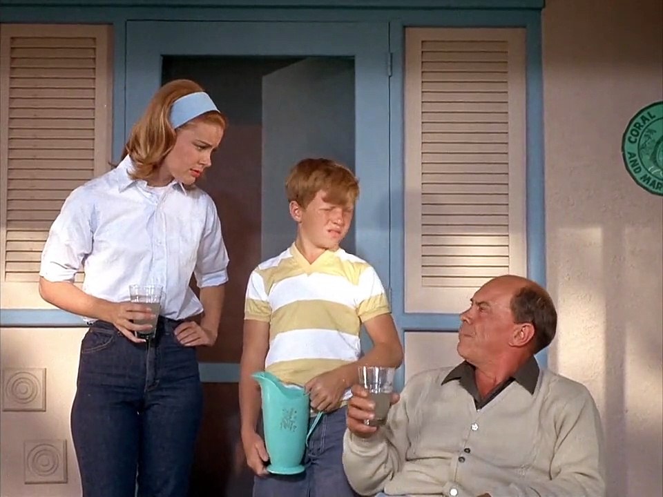 Flipper Staffel 1 Folge 24 HD Deutsch