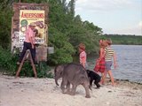 Flipper Staffel 1 Folge 25 HD Deutsch