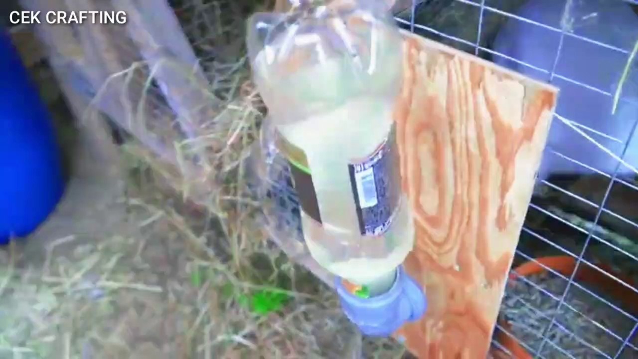 Cara membuat tempat minum kelinci !! How to make a rabbit drinking trough?