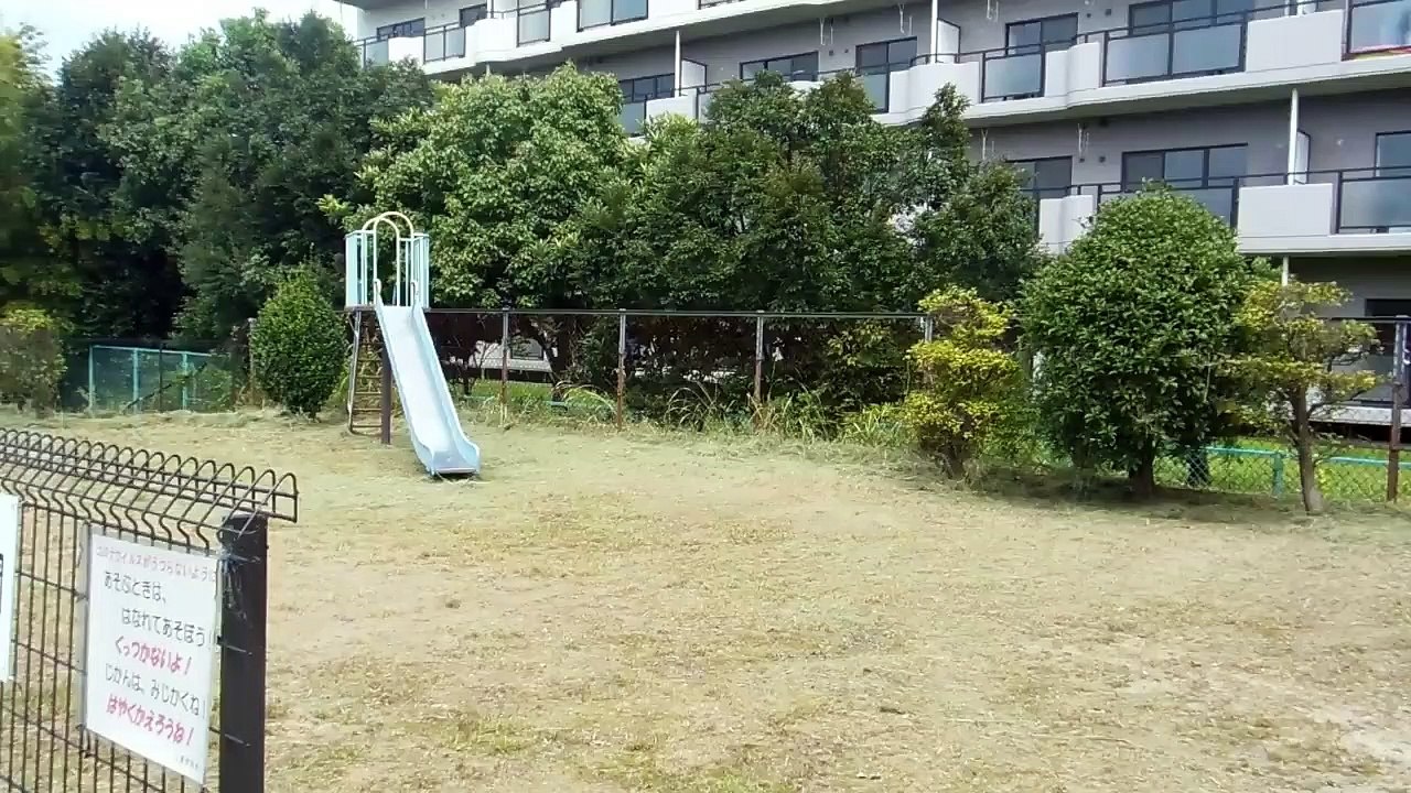 Dragonflies in the Park in Japan