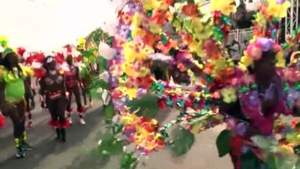 GRENADIANS CONCERNED ABOUT FLIGHTS TO T'BGO