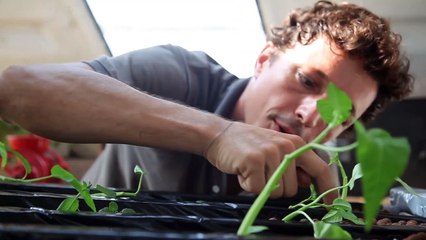 How to build a low-tech hydroponics system - DIY Tutorial