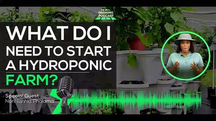 What Do I Need To Start A Hydroponic Farm_