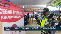 Targetkan Penurunan Stunting di Indonesia, BKKBN Gandeng TNI
