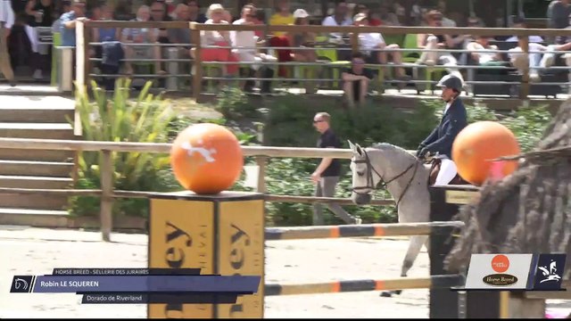 Grand National FFE - AC Print - CSO | Tours Pernay (FRA) | Robin LE SQUEREN | DORADO DE RIVERLAND