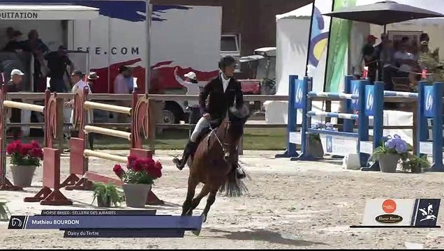 Grand National FFE - AC Print - CSO | Tours Pernay (FRA) | Mathieu BOURDON | DAISY DU TERTRE