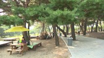 가을 문턱 개천절 연휴...공원엔 가족 나들이객 '북적' / YTN