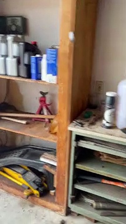 Sneaky Snake Rattles at Residents