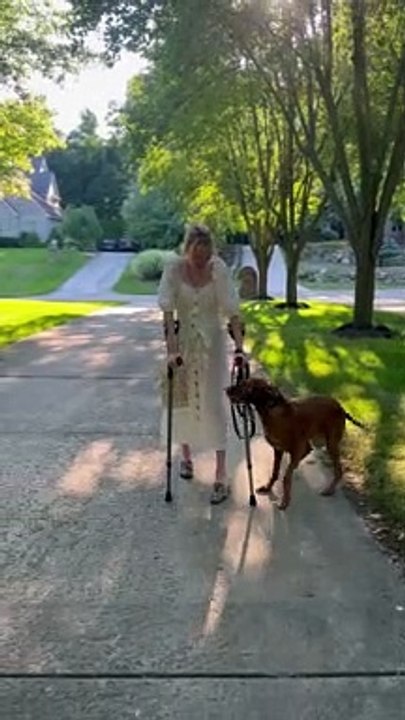 Service Dog Sees Owner Walk for the First Time