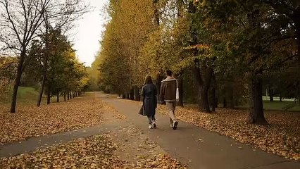 What is the cleanest shade tree?