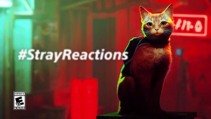 Stray Reactions   PS5 & PS4 Games