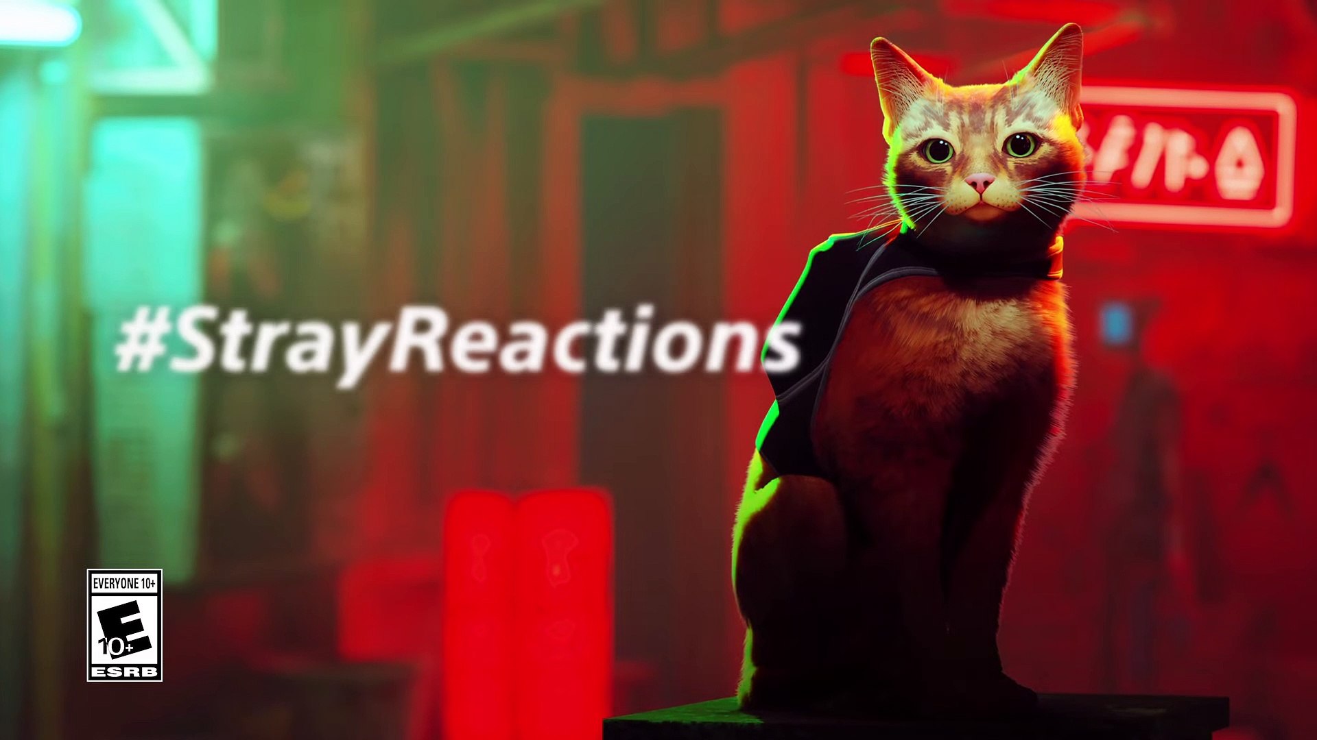 ⁣Stray Reactions   PS5 & PS4 Games