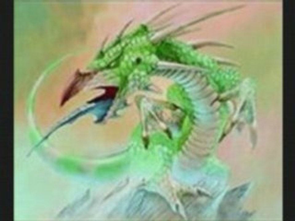 Les animaux