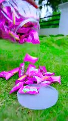 Center Fruit Vs Cotton Candy Experiment #shorts