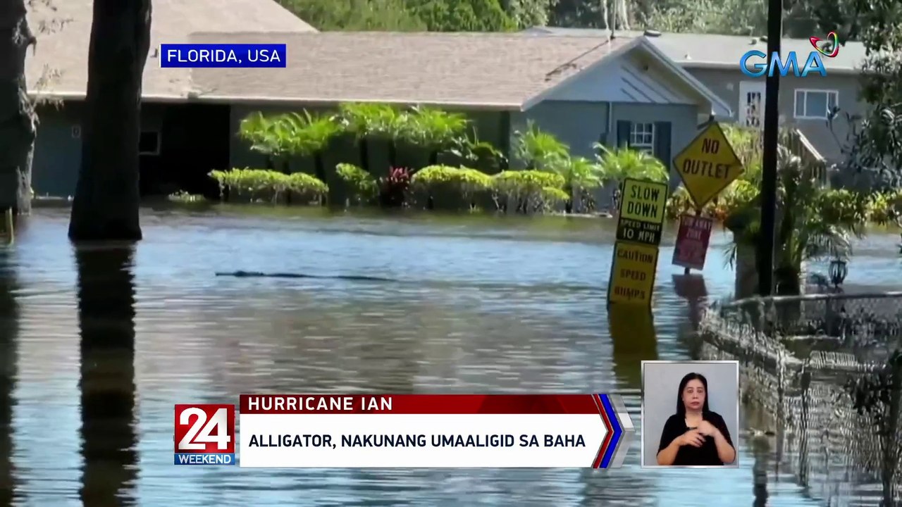 Alligator, nakunang umaaligid sa baha | 24 Oras Weekend
