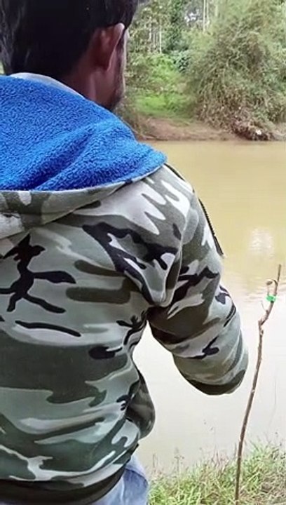 Cathing Cat fish in River