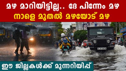 വീണ്ടും മഴ വരുന്നു.. കുടയെടുക്കാൻ മറക്കണ്ട  | *Kerala