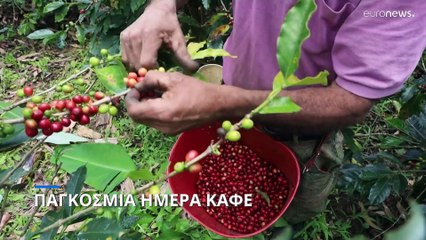Παγκόσμια Ημέρα Καφέ