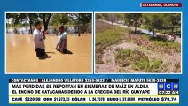 ¡Lamentable! Devastados cultivos de maíz por crecida del río Guayape en Catacamas