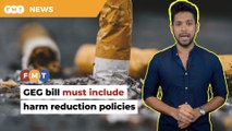Success of Generational End Game bill hinges on harm reduction policies, say health experts