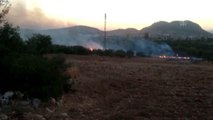 Son dakika haberleri! Kozan'da çıkan orman yangını kontrol altına alındı