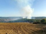 Tekirdağ 3. sayfa: Tekirdağ'da orman yangını