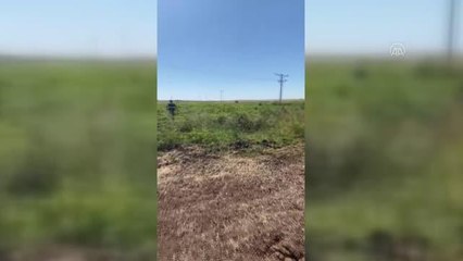 ŞANLIURFA - 3 kişinin öldüğü kavgayla ilgili aranan zanlı 14 yıl sonra sahte kimlikle yakalandı