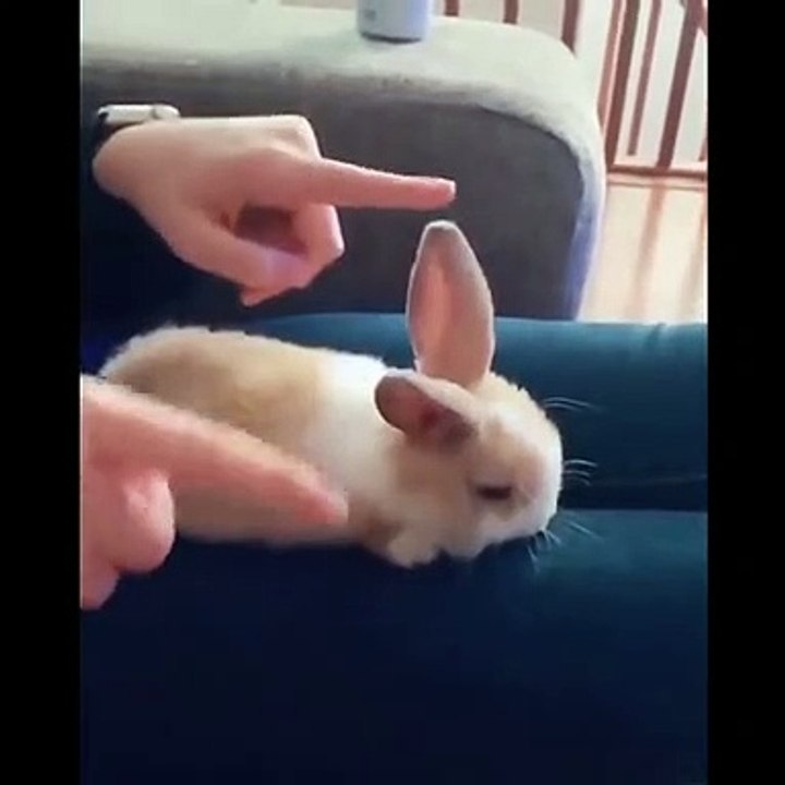so cute