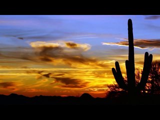 Race Of Life - The Great Desert Race Episode 3