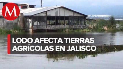 En Jalisco, lodos desbordan laguna de Zapotlán