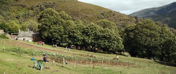 As bestas - Trailer 2