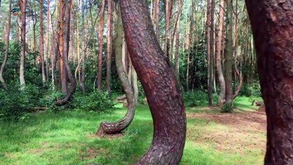 بحيرة تتحول للون الزهري في الصيف