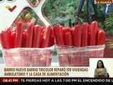 La Guaira | Barrio Nuevo Barrio Tricolor rehabilita 109 viviendas en la pqa. Caruao