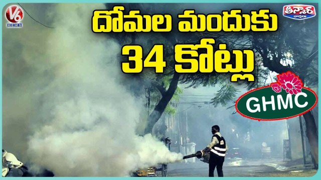 State Govt Spend 34 Crores For Mosquitoes Prevention _ V6 Teenmaar
