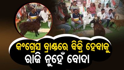 News Fuse | Congress workers threaten to start livestock business over rising unemployment
